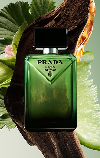 PRD137 Paradigme 3 Block Banner 3 v1.jpg